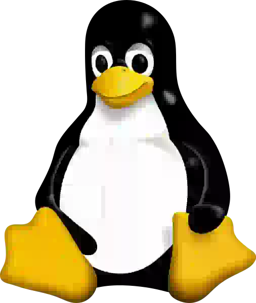 Linux (Basics) logo